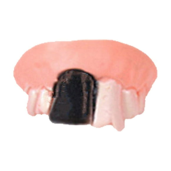 Spoofing Juguetes Más Forma Divertida Dentadura Dientes