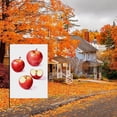 thumbnail image 4 of Rustic Fall Outdoor Garden Flag, Hand Drawn Fruits Apples Versatile House Flag Durable Double Side Washable Garden Decor for Outdoor for Front Door Patio Home Outdoor Lawn, (28x40 Inches), 4 of 6