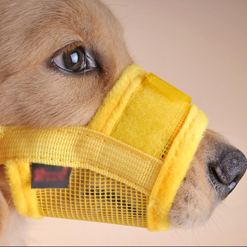 dog muzzle walmart