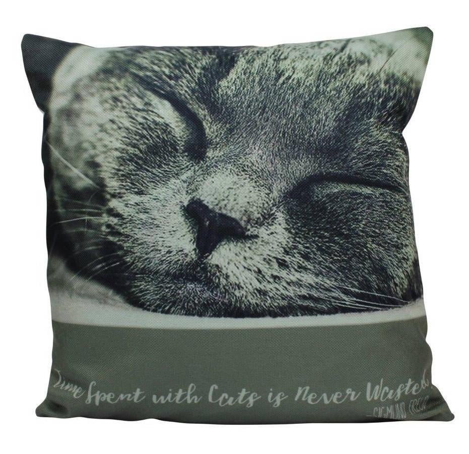 cat pillows walmart