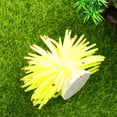 thumbnail image 4 of Simulación de erizos de mar Coral Fish Tank Adornos de paisajismo Artesanías de coral elásticas Adorno de acuario (amarillo), 4 of 5