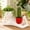 Red, variant on Lazy Guy Planter Pot Goofy - Funny Lying Down Figure Succulent Plant Pots with Drainage Hole, Unique Home Garden Decor Gift for Family & Friends (Yellow)