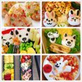 thumbnail image 3 of Juego de Moldes Para Bolas de Arroz ANGGREK Con Forma de gato Para Hacer Sushi, 3 of 8