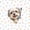 White Gray, variant on Homewish Cute Maltese Dog 7-Piece Twin Bedding,Kawaii Paw Print Bedding Comforter Set,White,Colorful Stars Reversible