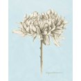 thumbnail image 2 of Popp, Grace 15x18 Gold Ornate Wood Framed with Double Matting Museum Art Print Titled - Graphite Botanical Study II, 2 of 4