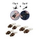 thumbnail image 3 of Kit de Reparación Instantánea de Deslizador de cremallera de Repuesto ANGGREK 6 uds, 3 of 6