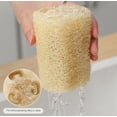 thumbnail image 2 of Esponja de lufa natural para ducha TUNC Exfoliante orgánico de lufa 6 piezas, 2 of 5