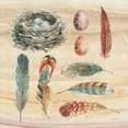 thumbnail image 2 of Audit, Lisa 20x20 Gold Ornate Wood Framed with Double Matting Museum Art Print Titled - Spiced Nature X, 2 of 4