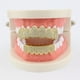 thumbnail image 2 of Seitruly Conjunto de parrilla de de hip hop Parrillas dentales Colmillos de Decoración de de hip hop Cubierta de para cuidado de los oídos Oro Seitruly CE003139-01, 2 of 6