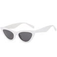 thumbnail image 1 of Lunettes de Soleil Mode Femmes Hommes Lunettes Multicolores Monture en Plastique Style de Rue Lunettes de Protection, 1 of 6