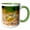 Green/White, variant on 3drose, Ornate Red Ear Turtle, Native to Southern Us - Na02 Dno0868 - David Northcott, 11oz Two-tone Yellow Mug