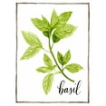 thumbnail image 2 of Popp, Grace 19x24 White Modern Wood Framed Museum Art Print Titled - Watercolor Herbs I, 2 of 4