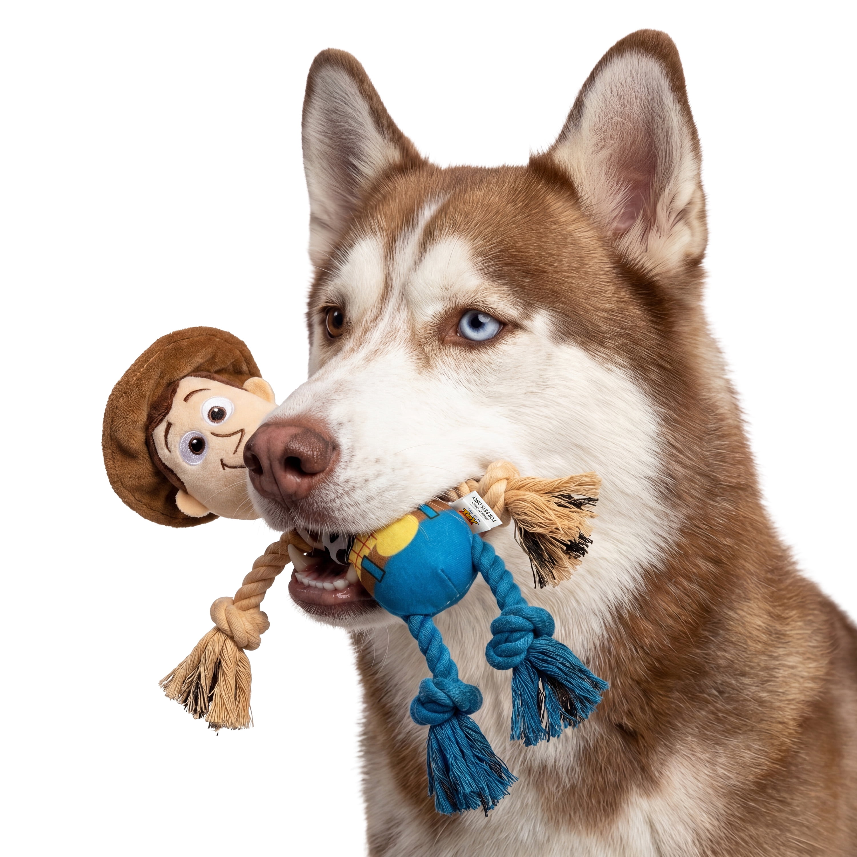 Disney Toy Story 8" Woody Plush Rope Toy