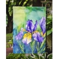 thumbnail image 3 of Tennessee Iris in Watercolor Garden Flag 11.25 in x 15.5 in, 3 of 5