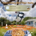 thumbnail image 4 of Smart Bird Feeder with Camera Solar-Powered, 1.5L Large Capacity, AI Bird Identification for 13,000+ Species, Auto Capture & Real-Time Notifications, 4 of 10