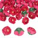 thumbnail image 1 of Uxcell Paquete de 50 Cabezas de Camelia Artificial, Cabeza de Camelia de Seda de 1.3 Pulgadas para Boda/Ramo/Pared de Flores [Rojo Rosa, 3.5cm], 1 of 7