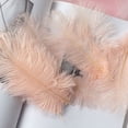 thumbnail image 2 of 50 Colorful Ostrich Feathers, Big Feathers, Wedding Background Wall Decoration, Internet Red Wall, White Pink Feathers, Flower Arrangement 15-20Cm S office supplies, 2 of 3