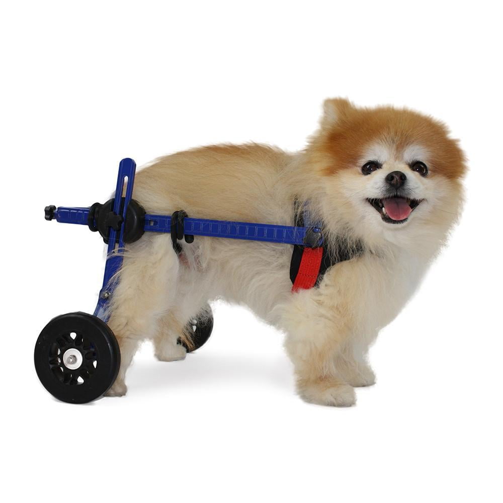 toy dog on wheels with lead