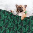 thumbnail image 3 of Pofeuu Mint Bird Feathers Print Puppy Blanket,Dog Blankets,Pet Blanket Cozy Cat Blankets for Indoor Cats, Fuzzy Pet Blanket for Kitten Doggy Dog Blankets-Medium, 3 of 8