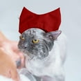 thumbnail image 3 of Reusable Pet Ear Shower Hood for Safe Bathing Grooming and Swimming Activities, 3 of 5