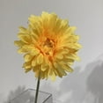 thumbnail image 3 of GERBERA JAUNE, 3 of 3