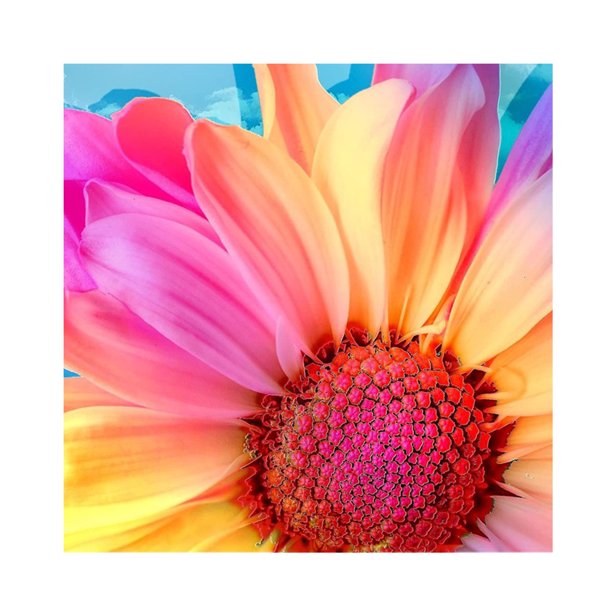 Cuadros Decorativos 5D DIY colorido flor mosaico completo redondo taladro diamante dibujo resina artesanía Ehuebsd Nuevos Originales
