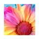 thumbnail image 1 of Cuadros Decorativos 5D DIY colorido flor mosaico completo redondo taladro diamante dibujo resina artesanía Ehuebsd Nuevos Originales, 1 of 8
