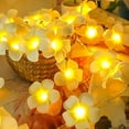 thumbnail image 6 of GadgetVLot Led Decorative Light String Wedding Party Decoration Imitation Frangipani Fairy String Lights, 6 of 15