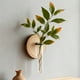 thumbnail image 5 of Hogar y cocina, Decoración del hogar, Otra decoración, Jarrones de pared, Macetas, Plantas hidropónicas, Jarrones, Baño, Oficina, Sala de estar, Decoraciones, Regalos, Jarrón decorativo de plástico, 5 of 6