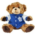 thumbnail image 1 of FOCO 10 Inch NHL Varsity Plush Bear, 1 of 2