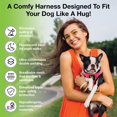 thumbnail image 3 of Arnés para perros EcoBark Step in Reflective Soft para perros medianos, 3 of 9