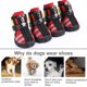 thumbnail image 5 of Billuyoard Zapatos para mascotas Botas deportivas para interiores Malla Transpirable Clásico Algodón Cremallera Calzado para mascotas Ropa para mascotas rojo uno Billuyoard PT000055-01B, 5 of 6