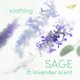 thumbnail image 3 of Desodorante en aerosol Dove Whole Body Cooling Sage & Lavender, 3 of 7