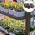 thumbnail image 3 of Plant Grow Sponges For Garden Hydroponic Indoor Garden Smart Sponge With Nutrients, Replacement Gro, 3 of 5