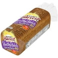 Nature's Harvest Healthy Habits Light Multigrain Bread, 20 oz