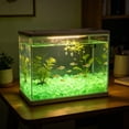 thumbnail image 4 of Super Bright Glow in Dark Pebbles 100Pcs, 0.2-0.35in Small Fluorescent Fine Gravel for Aquarium Substrate, Mixed Color Night Luminous Stones for Vase Decor, Aquascaping, Gardening & Terrarium, 4 of 6