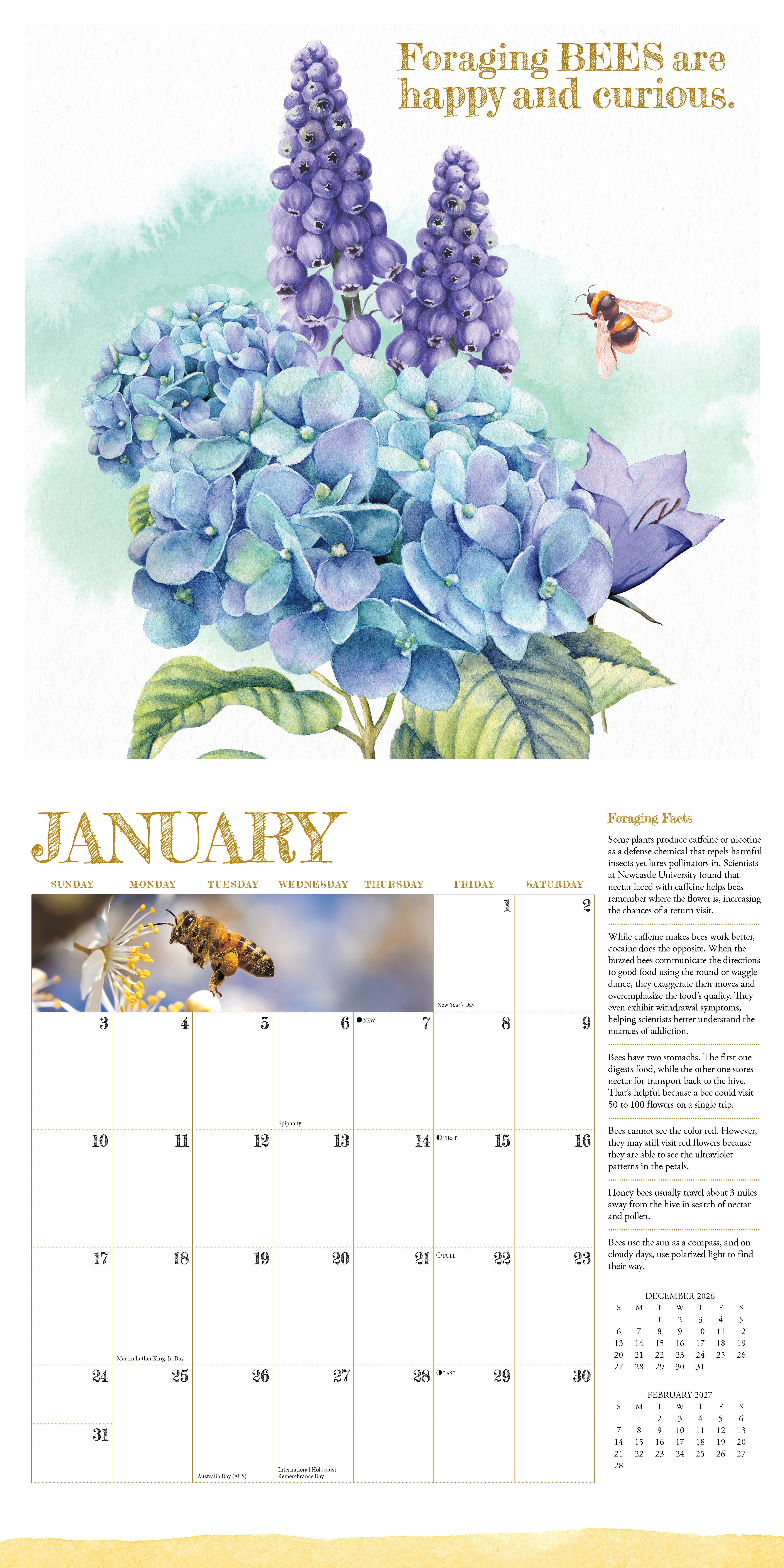 Willow Creek Press, Reasons to Bee 2027 Wall Calendar