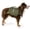 Olive Canvas, variant on PetAmi Dog Backpack for Medium & Large Dogs, Saddle Bag for Dogs to Wear for Hiking, Pet Backpack Harness Dog Pack with Reflective Side Pockets for Walking Running