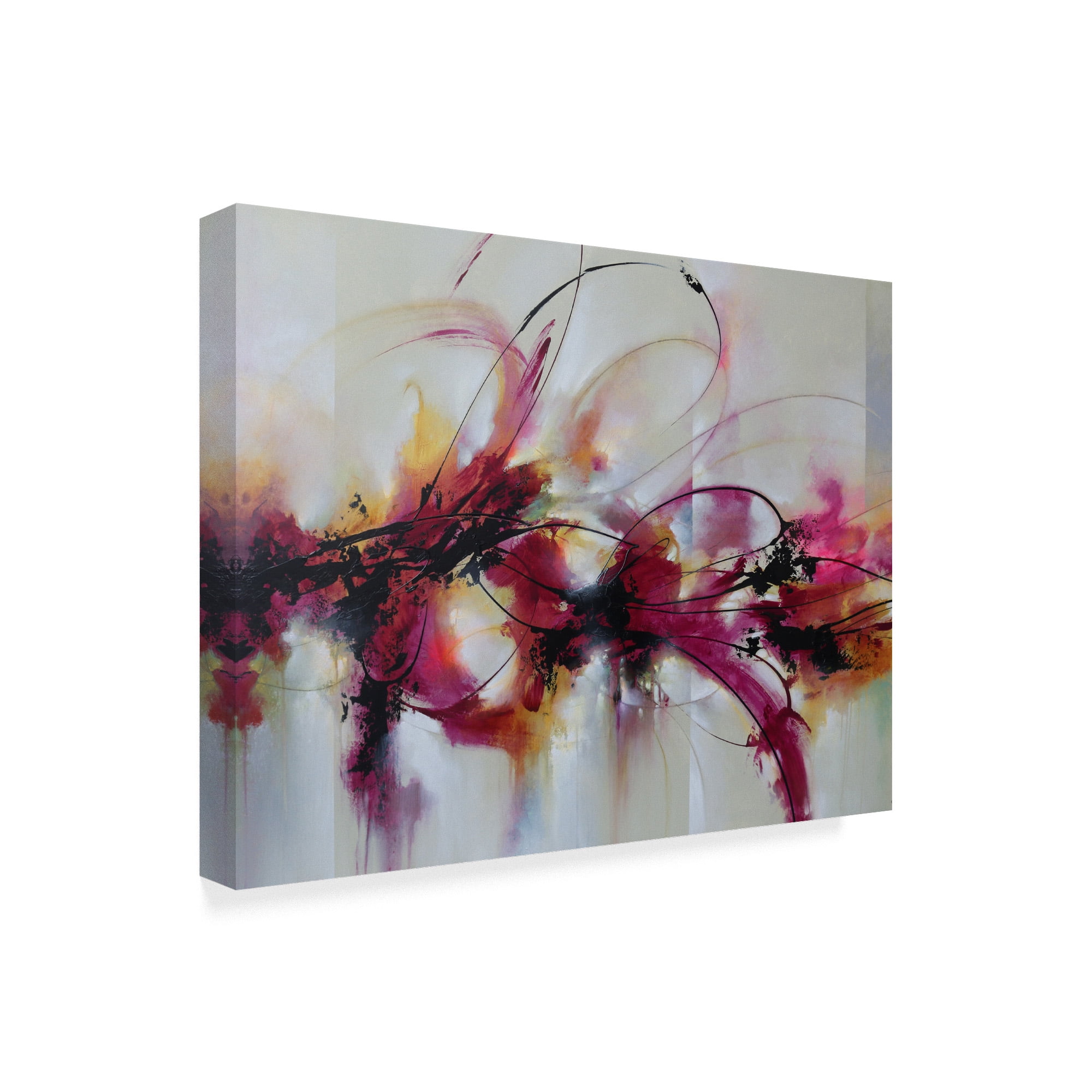 Trademark Fine Art 'Carried Away' Canvas Art by CH Studios