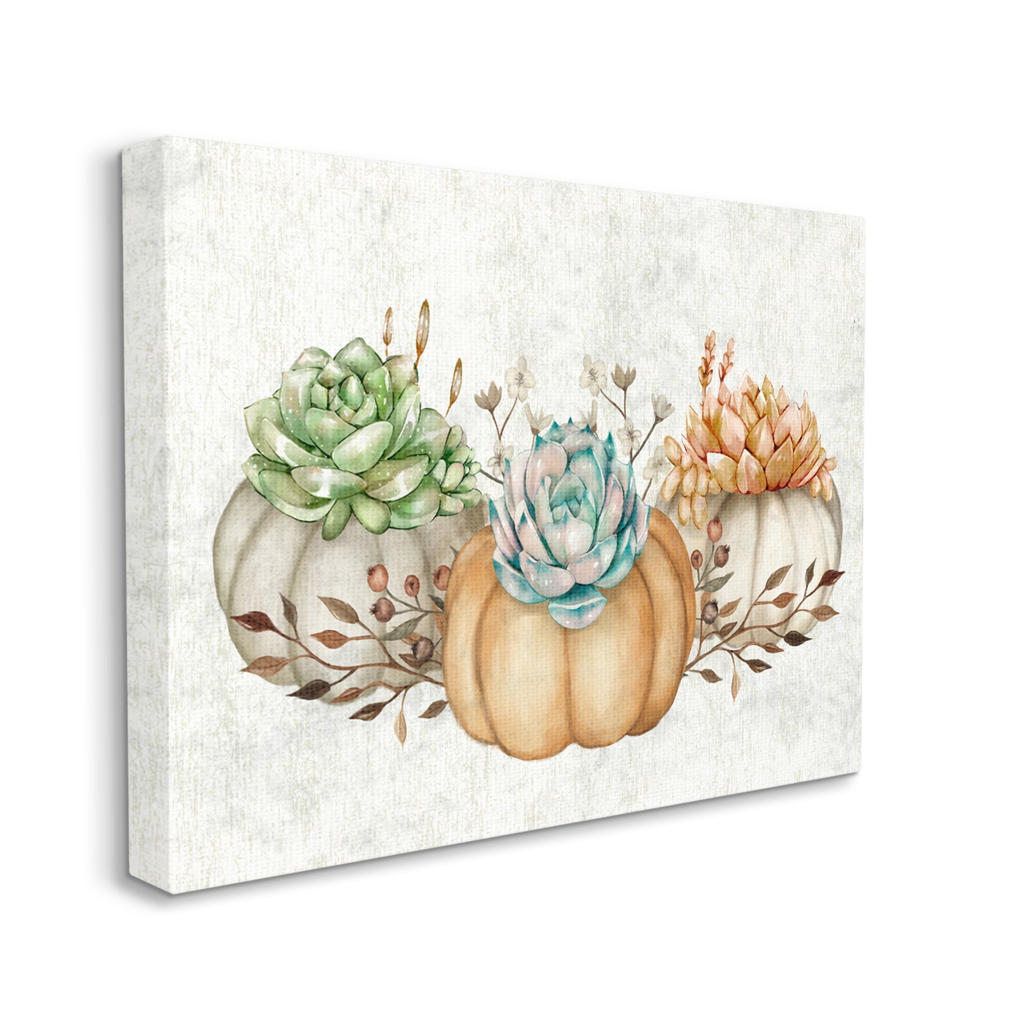 Stupell Industries Chic Pumpkin Succulent Trio Autumn Boho Vegetables, 40 x 30,Design by Ziwei Li