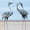 Multicolor, variant on 33-37 Inch Metal Crane Garden Statue Décor, Bird Garden Sculpture & Statues, Outdoor Decoration for Yard Patio Lawn Backyard Pool, Vintage Spread Wings Crane, Set of 2