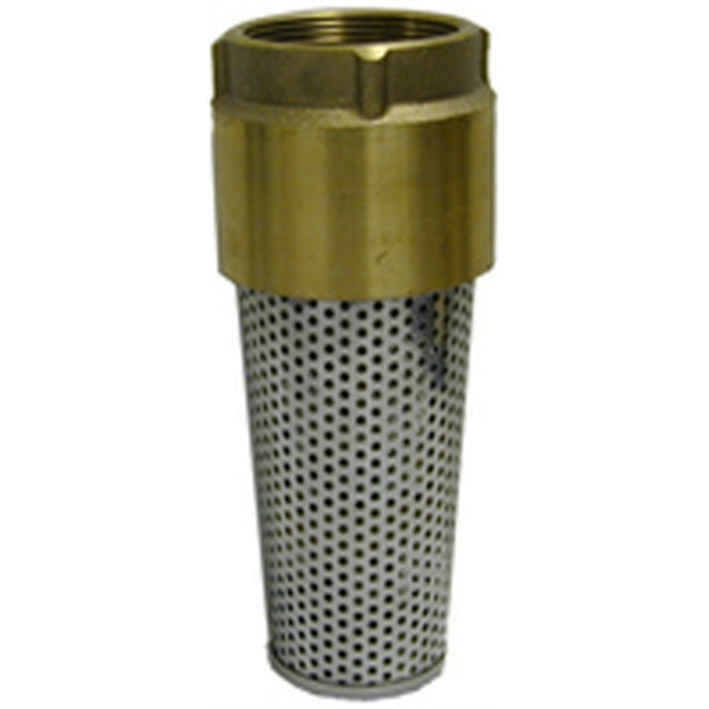 Foot Valve, 3/4" Ips Brass Nl