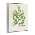 thumbnail image 3 of Stupell Industries Woodland Sprigs Study Floral Painting Gray Framed Art Print Wall Art, 11 x 14, 3 of 8