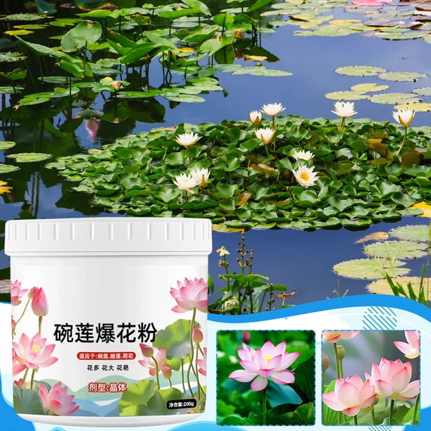 Fertilizante de agua Fertilizante de nenúfares Fertilizante de flores con nutrientes Estimulante eficaz de las flores Fertilizante rico en nutrientes Solución nutritiva para flores