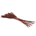 thumbnail image 6 of 35" Dried Plant Natural Foliage Pampas Bouquet with Long Stems, by DecMode, 6 of 8