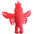 thumbnail image 5 of Assorted Ocean & Spider Inflatable Costumes For Adults - Marine & Horror Theme Party Outfits (Fits 59"–74.8" / 150-190cm),Height 59"–74.8",lobster, 5 of 6