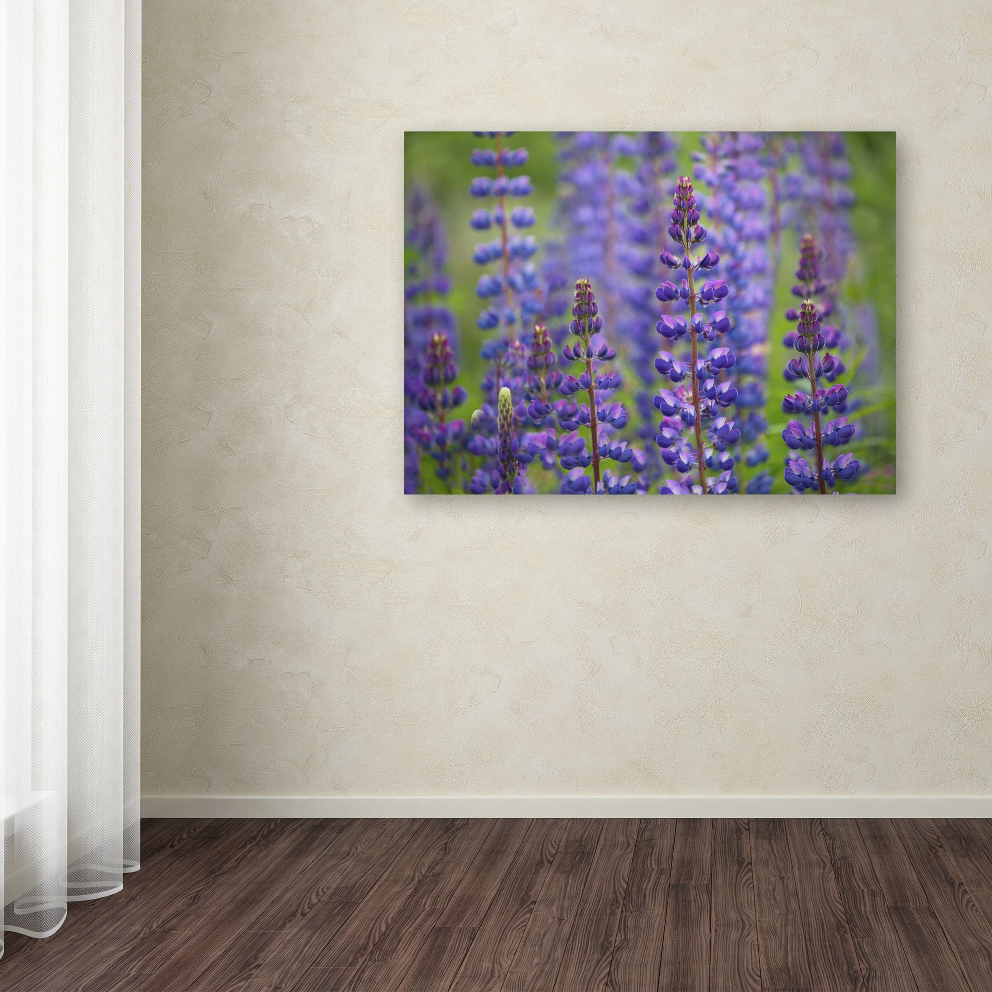 Trademark Fine Art 'Blue Lupine Flowers' Canvas Art by Cora Niele