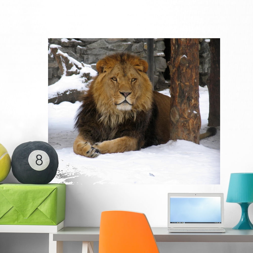 African Lion Wall Mural Decal Sticker, Wallmonkeys Peel & Stick Vinyl ...