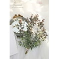 thumbnail image 4 of Artificial Flocked Eucalyptus Stems Faux Greenery Spray, 18pcs Best Filler Fake Plants for DIY Wedding Bouquet Centerpieces Arrangement, 4 of 5
