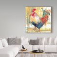 thumbnail image 3 of Trademark Fine Art 'Proud Plumage' Canvas Art by Annelein Beukenkamp, 3 of 3